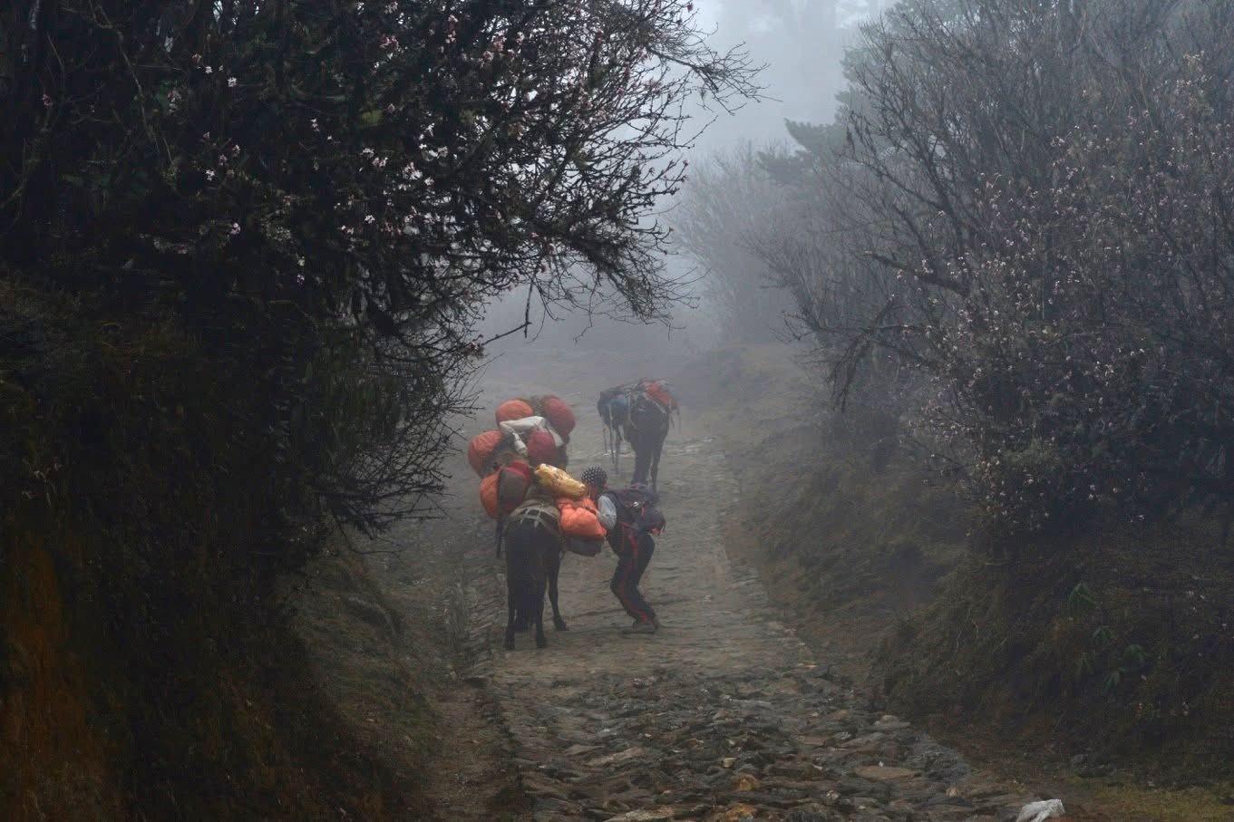 Alpine trail and village stay on the High Trails route